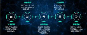 区块精灵系统开发源码--区块精灵宠物抢单开发模式介绍插图2