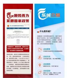 乐城超购系统开发插图1