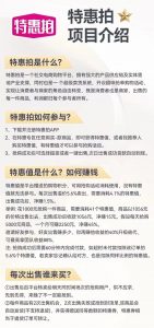 特惠拍系统特惠拍系统开发功能介绍插图