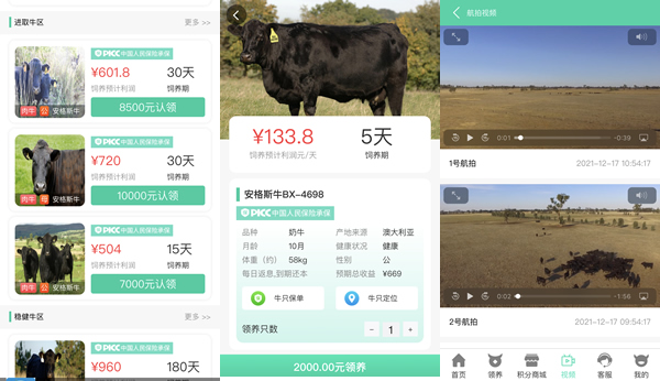快乐农场牧场养殖管理系统开发功能和模式介绍（畜牧认购系统）缩略图