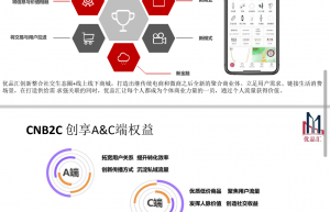 优品汇系统开发模式与机制介绍缩略图