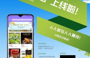 果农生活系统果农生活券轴系统开发源码与开发玩法模式分享缩略图