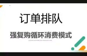 订单排队循环复购代理云仓算法模式app技术需求解析缩略图
