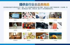 ‌供应链选品采购商城平台系统技术功能开发缩略图