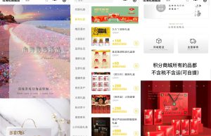 卷轴模式系统开发之app客户端会员功能开发实际案例缩略图
