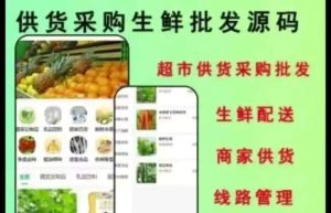 批发供应系统小程序开发架构分析缩略图