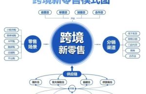 跨境电商系统APP开发案例功能分析缩略图