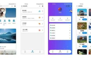 多功能礼物投票小程序系统APP开发案例功能分析缩略图