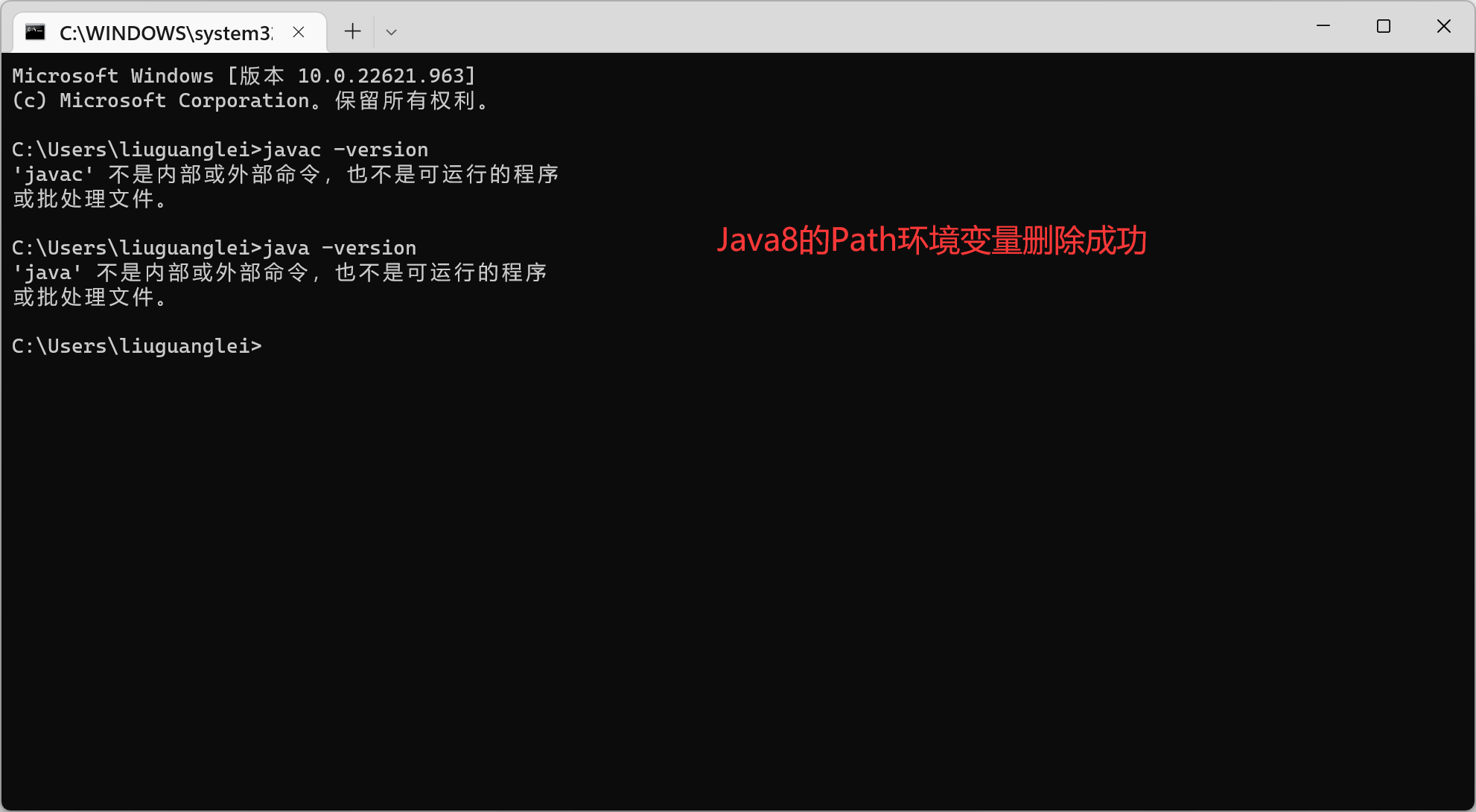 Java8的Path环境变量删除成功