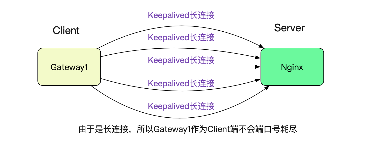 Nginx 502 Bad Gateway插图11