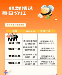 蜂群精选系统开发等级介绍插图2