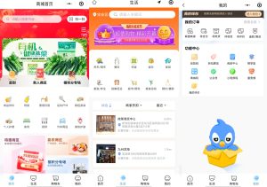 卷轴模式APP开发案例系统功能深度解析插图