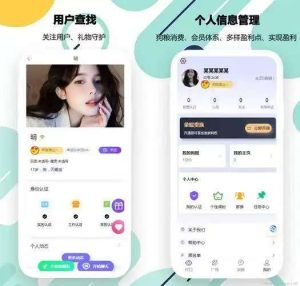 社交电商系统小程序技术开发需求分析总结插图
