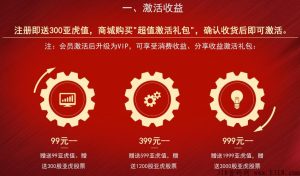 亚虎爱购系统开发模式介绍插图2
