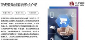 亚虎爱购系统开发模式介绍插图