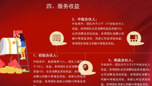 亚虎爱购系统开发模式介绍插图5