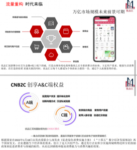 优品汇系统开发模式与机制介绍插图