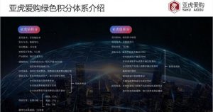 亚虎爱购系统开发模式介绍插图1