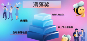蜂群精选系统开发等级介绍插图1