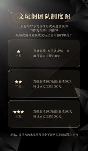 文玩阁系统开发制度插图