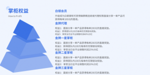 蜂群精选系统开发等级介绍插图